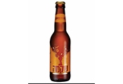 שקמה אייל ענסרי 330 מ